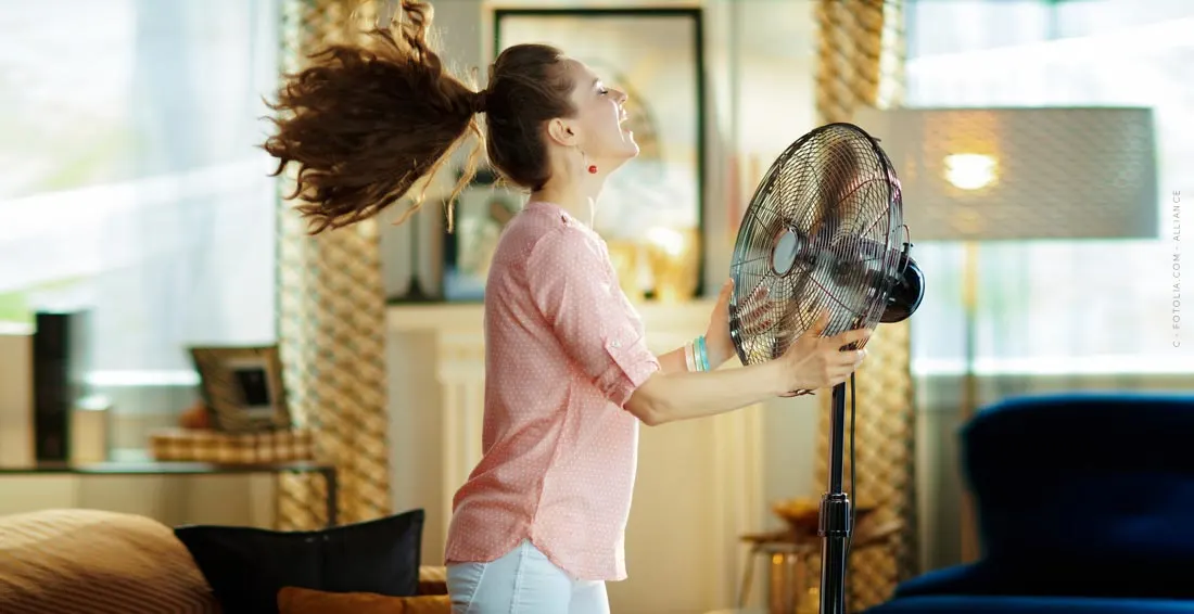 Ventilatore: un buon clima per la tua casa! Economico o costoso? Il confronto