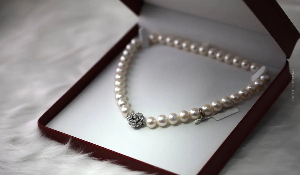 Bvlgari: gioielli, accessori e profumi di lusso