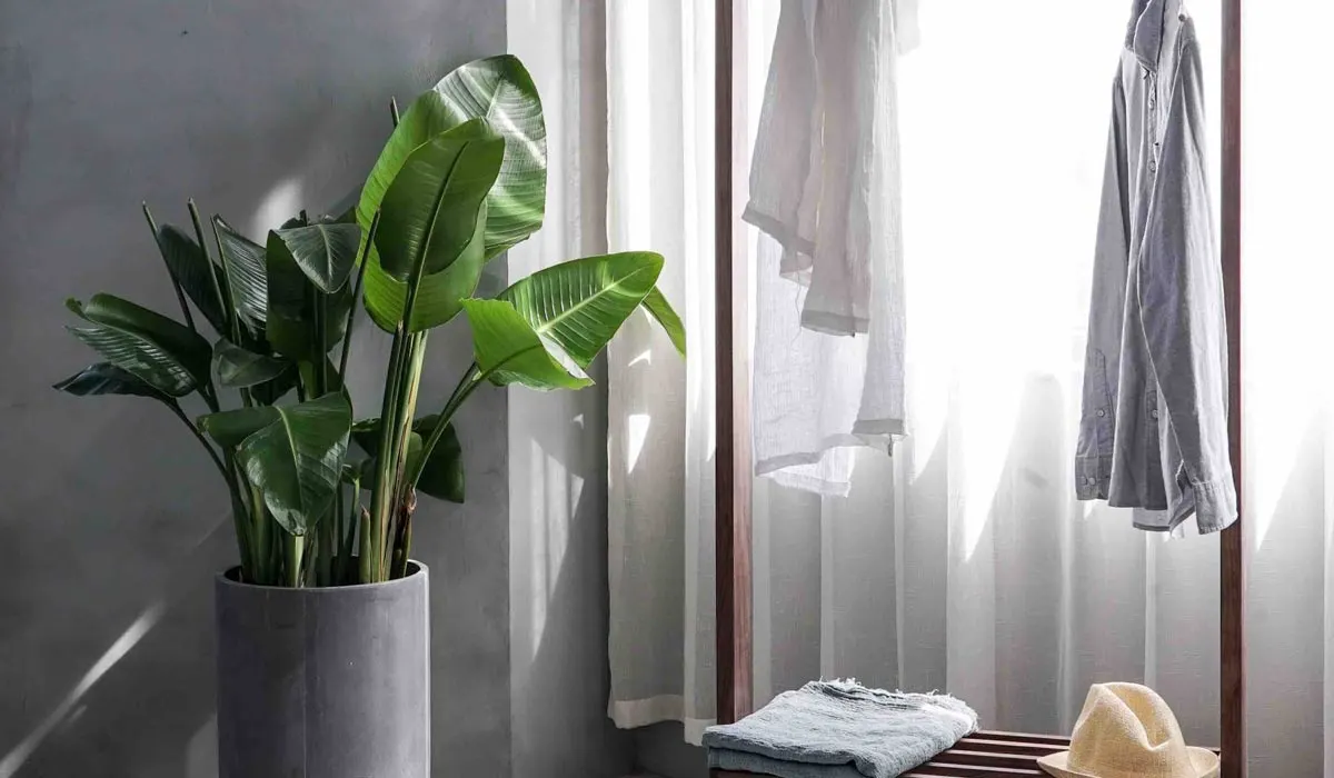 L'arte del vivere minimalista: dall'abbigliamento alla casa