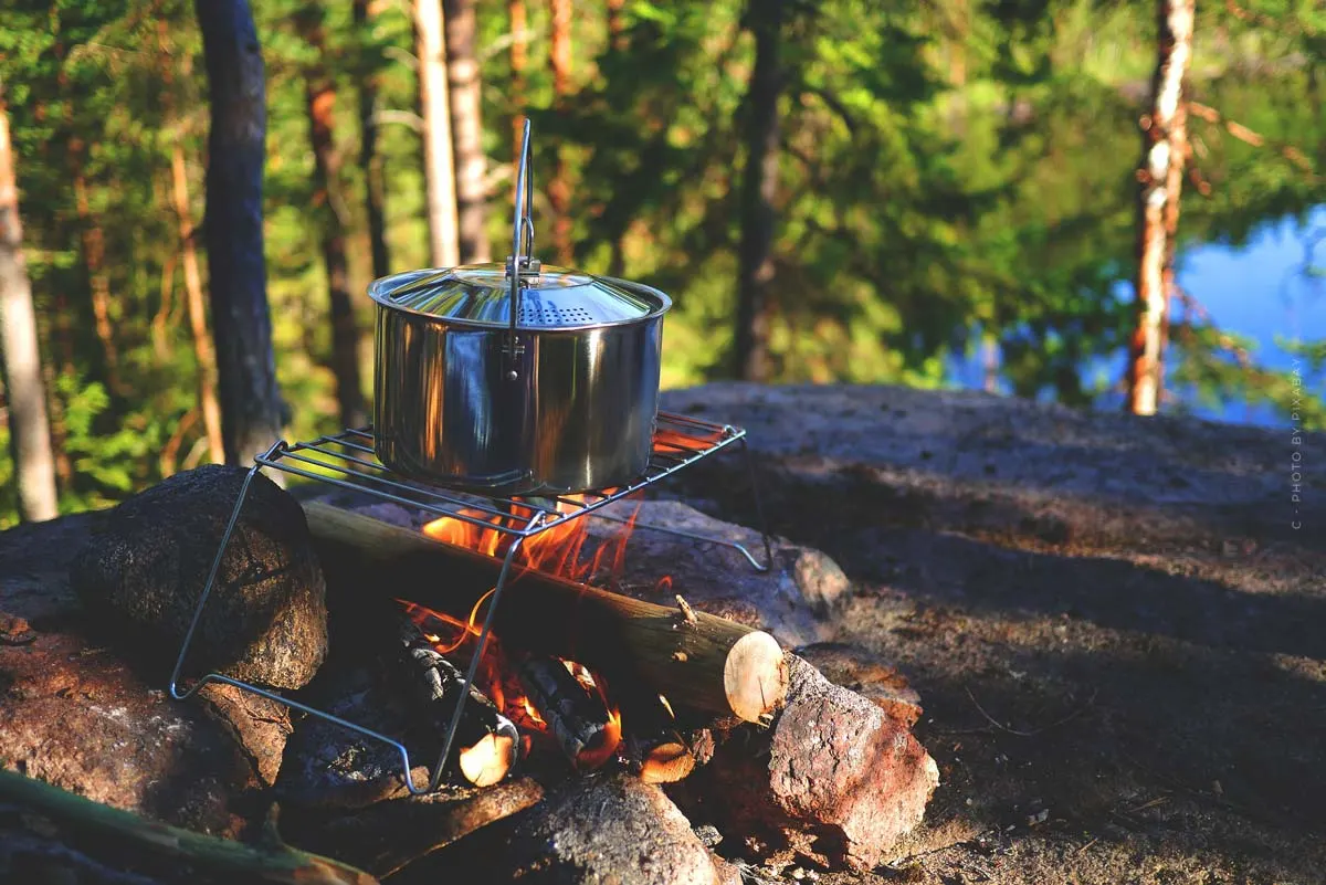 Suggerimenti per cucinare in campeggio: Ricette, Grigliate con carne e vegetariane