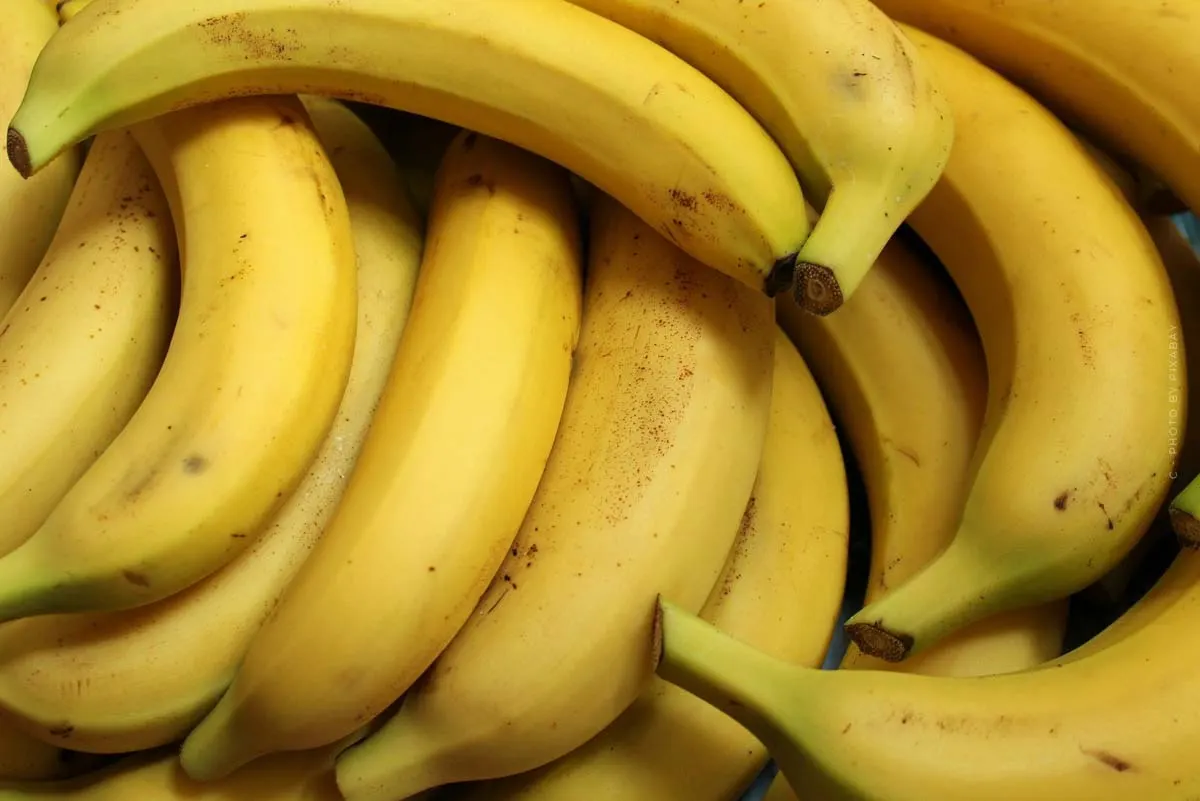 Vitamina D nell'inverno: riconoscere il fabbisogno e integrarlo in modo utile