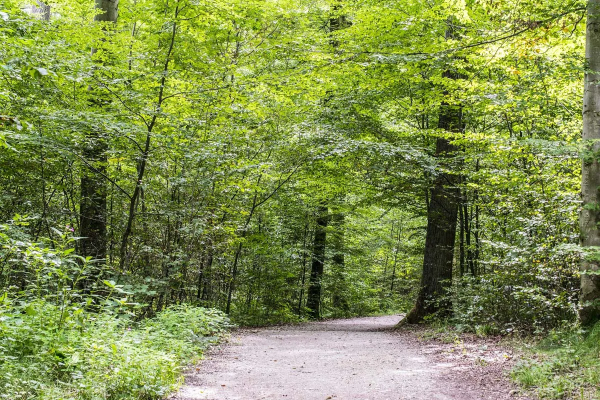 Kühlungsborn Segreto: Parco urbano – Parco per arrampicata e passeggiate nell’aria sana