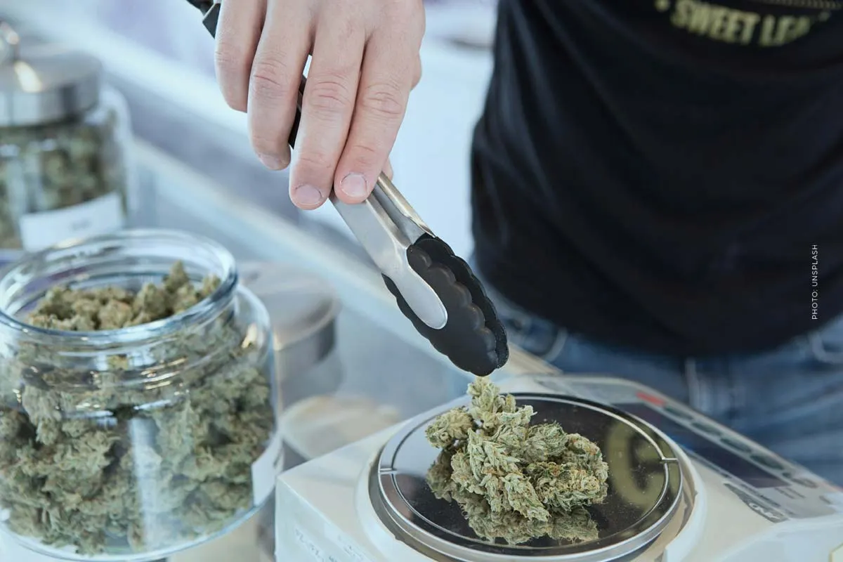 Cannabis Microdose: Quanto è poco sufficiente?