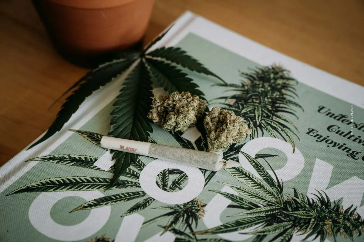 Teleclinica a confronto: i migliori fornitori di cannabis 2025