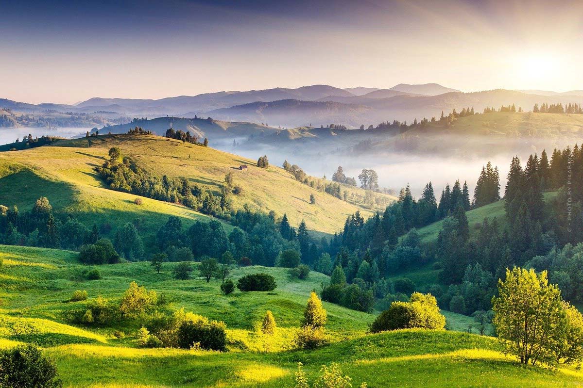 bilder-fotos-fotografie-foto-tipps-lernen-tutorial-natur-kamera-spiegelreflex-bridgekamera-kameraeinstellungen-kameralinsen-stativ-himmel-landschaft-wald-baeume